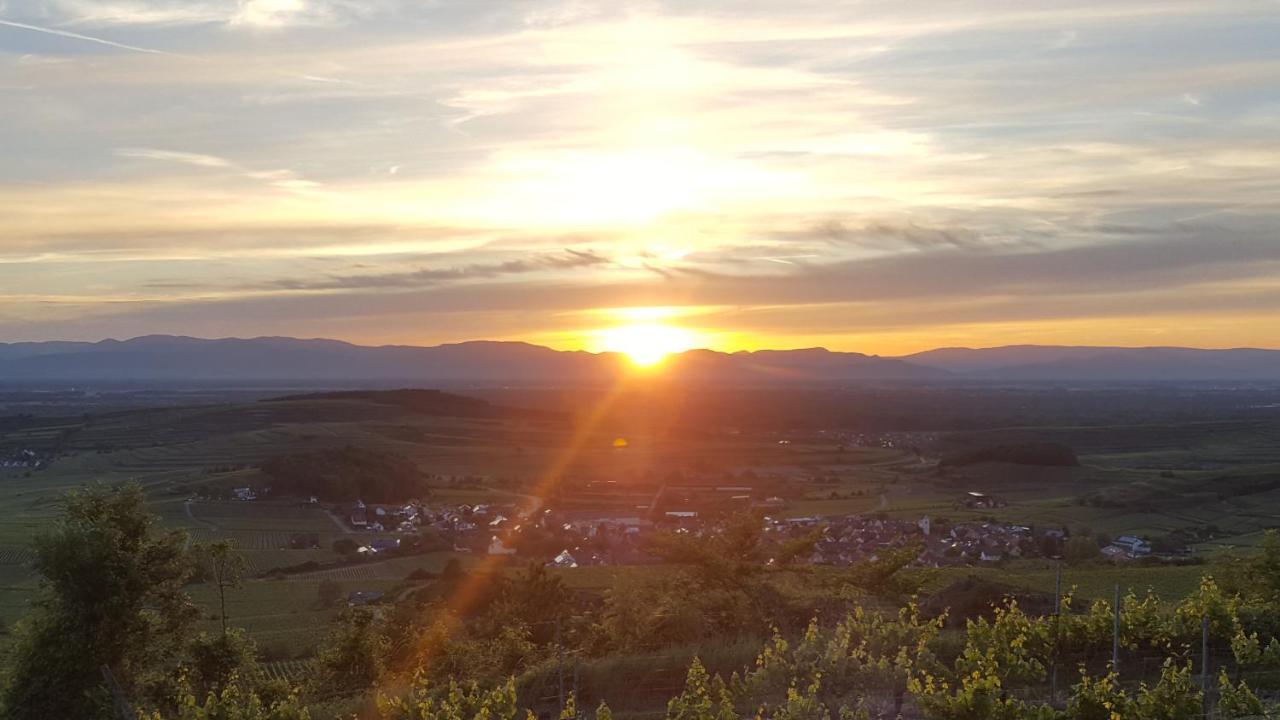 Gaestehaus Casa Luna - Paradiesische Ferienwohnungen Am Kaiserstuhl! Bischoffingen 外观 照片