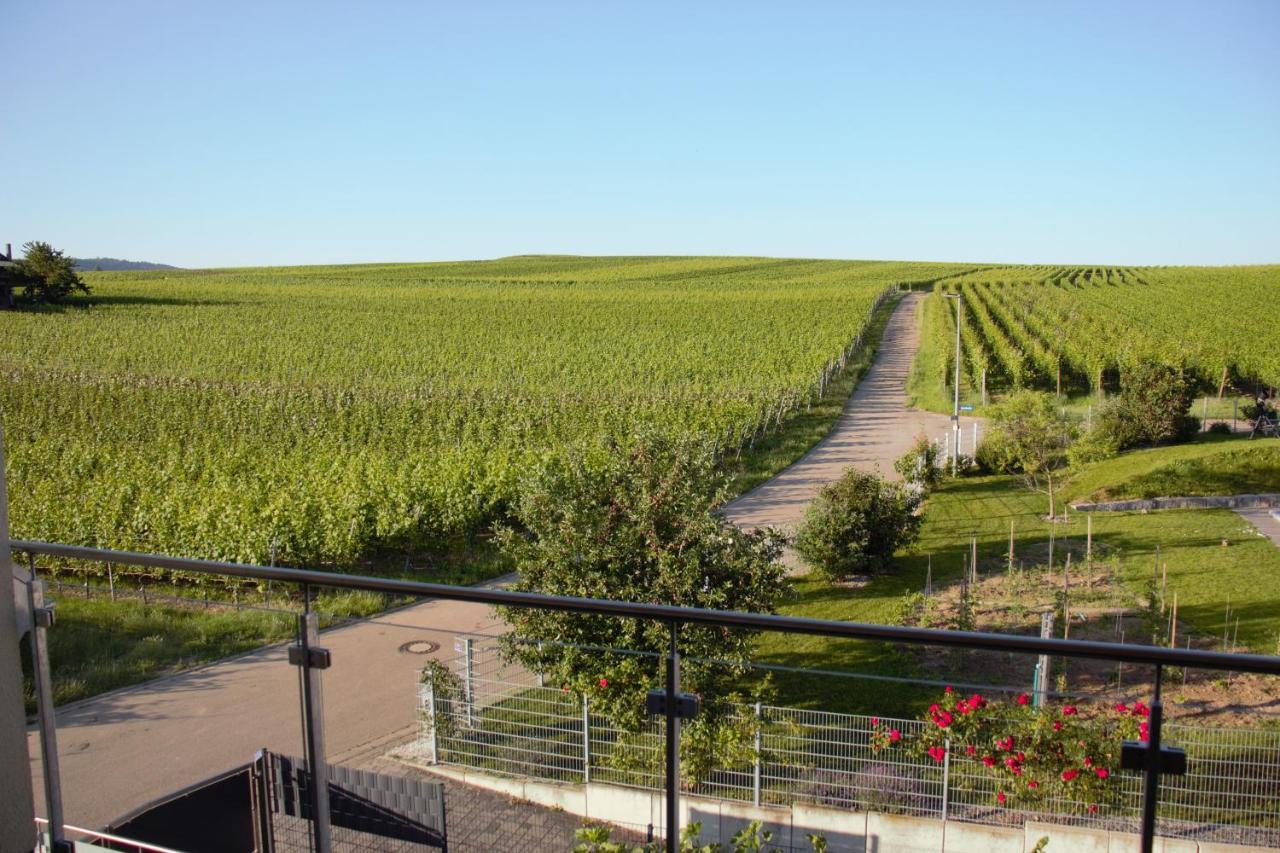 Gaestehaus Casa Luna - Paradiesische Ferienwohnungen Am Kaiserstuhl! Bischoffingen 外观 照片