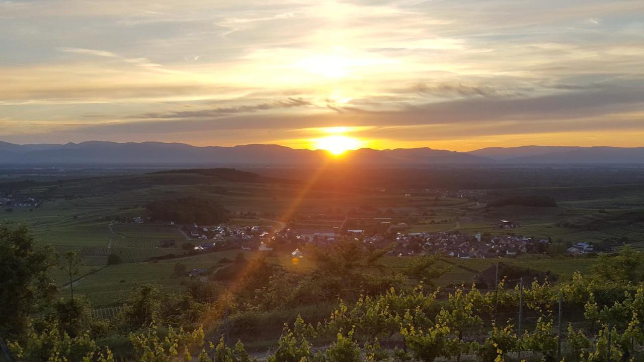 Gaestehaus Casa Luna - Paradiesische Ferienwohnungen Am Kaiserstuhl! Bischoffingen 外观 照片