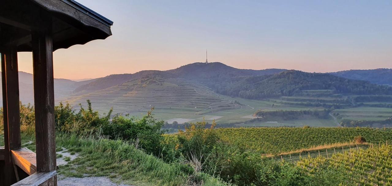Gaestehaus Casa Luna - Paradiesische Ferienwohnungen Am Kaiserstuhl! Bischoffingen 外观 照片
