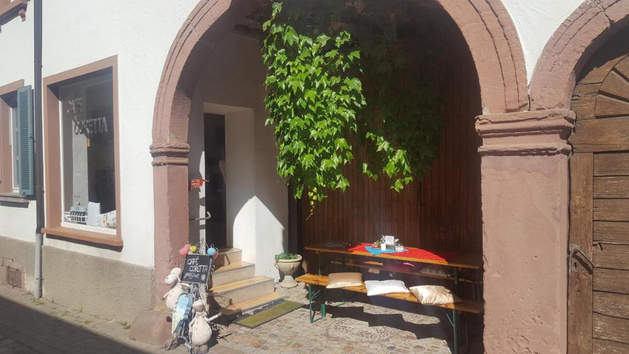 Gaestehaus Casa Luna - Paradiesische Ferienwohnungen Am Kaiserstuhl! Bischoffingen 外观 照片