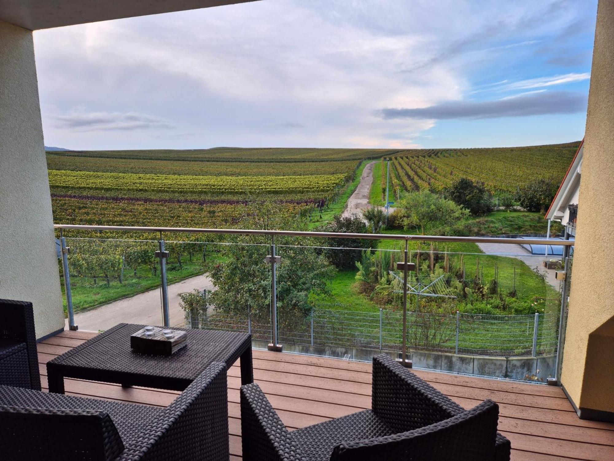 Gaestehaus Casa Luna - Paradiesische Ferienwohnungen Am Kaiserstuhl! Bischoffingen 外观 照片